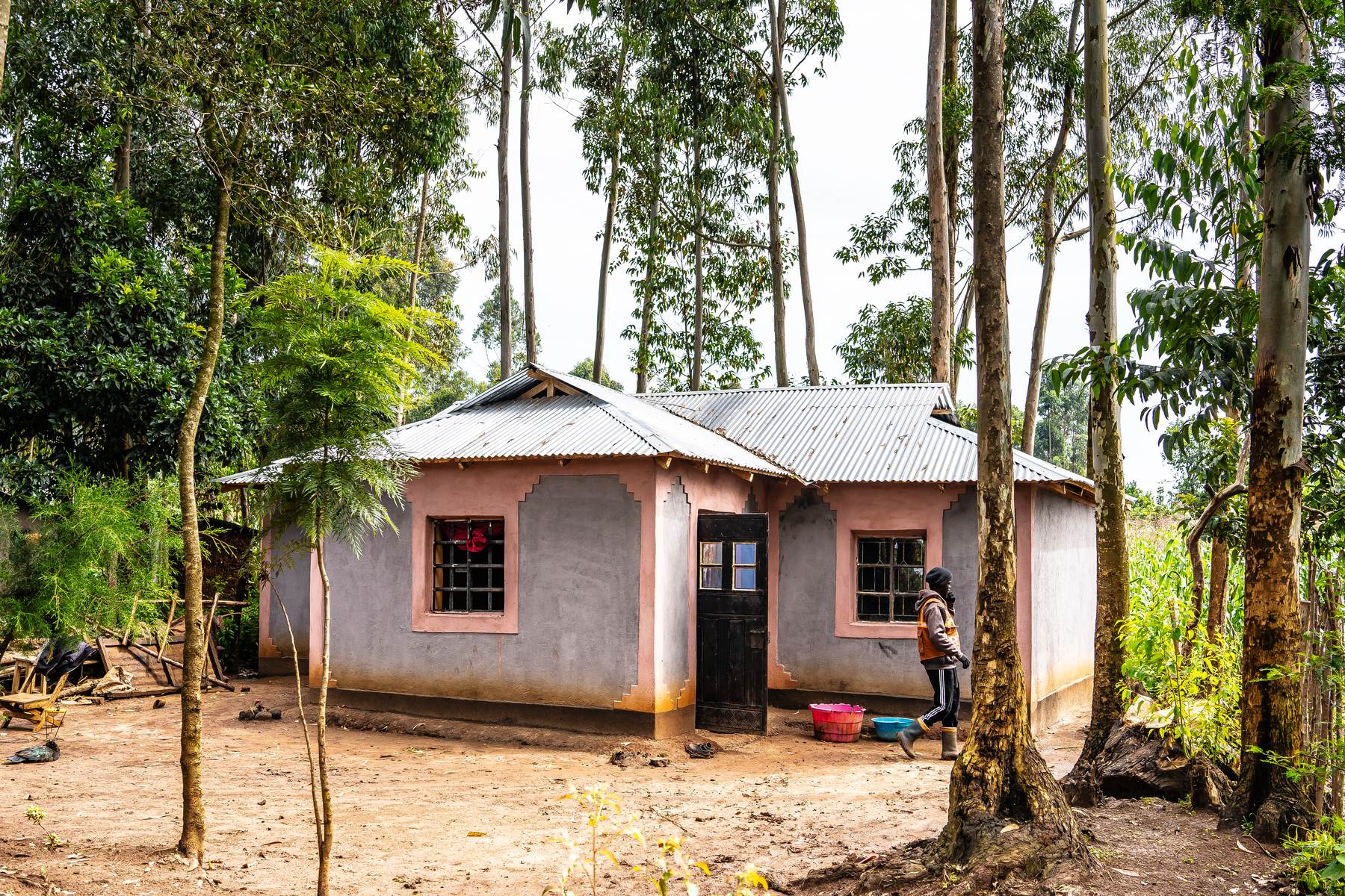 A finished Nyumba Nzuri earthen home, surrounded by eucalyptus trees